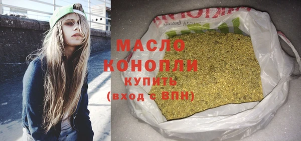 spice Богородицк